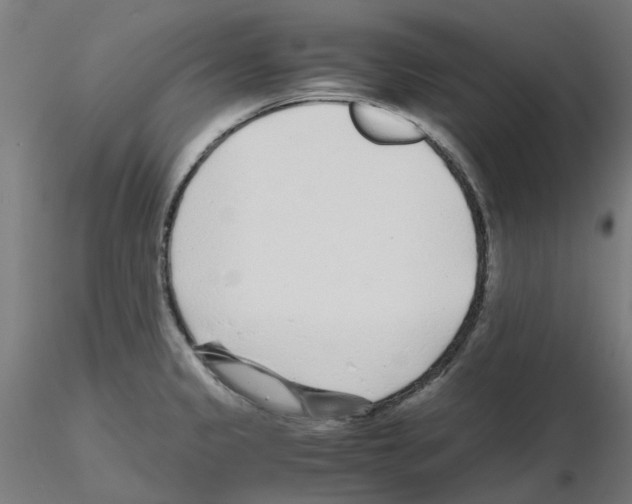 X0000115641333200912221302