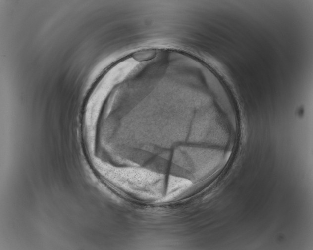X0000115641334200912221302