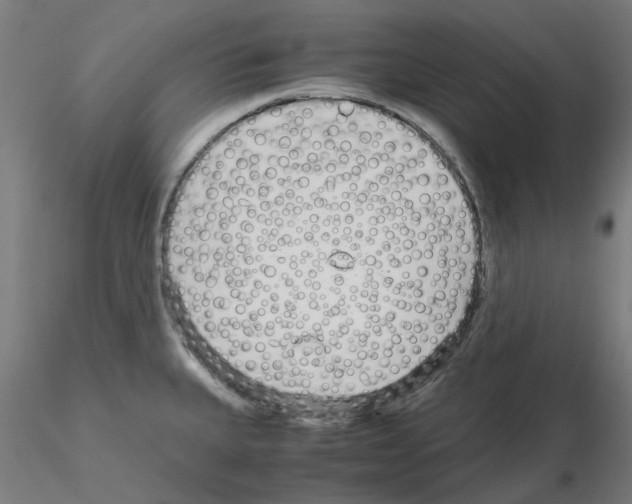 X0000115641335200912221302