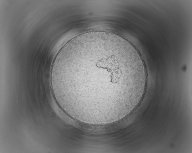 X0000115641338200912221302