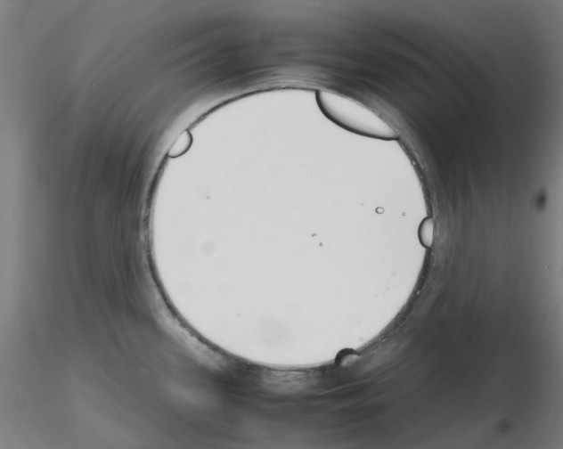 X0000115641339200912221302