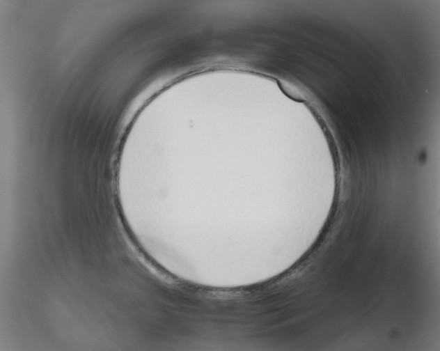 X0000115641341200912221302