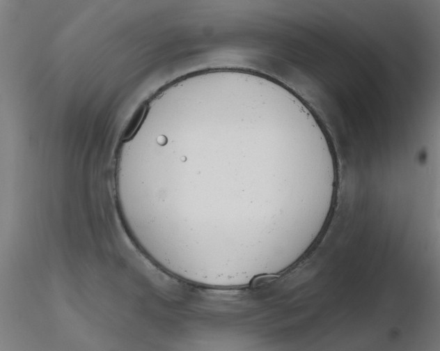 X0000115641342200912221302