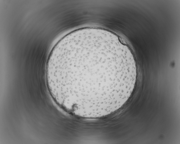 X0000115641343200912221302