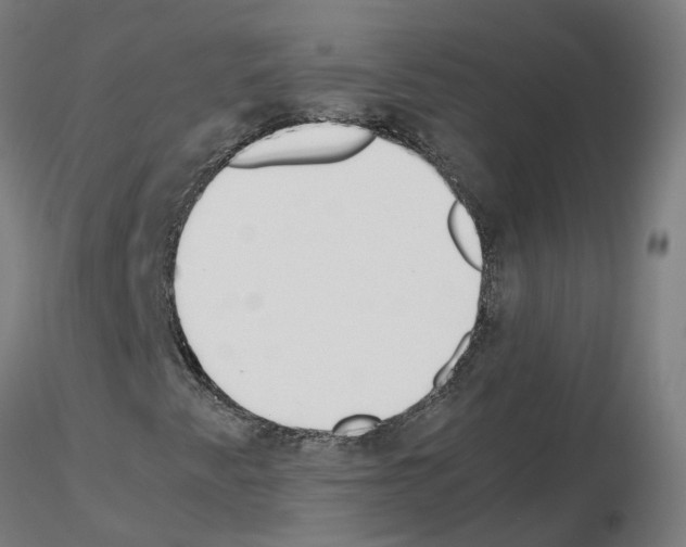 X0000115641345200912221301