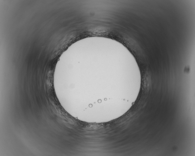 X0000115641346200912221301