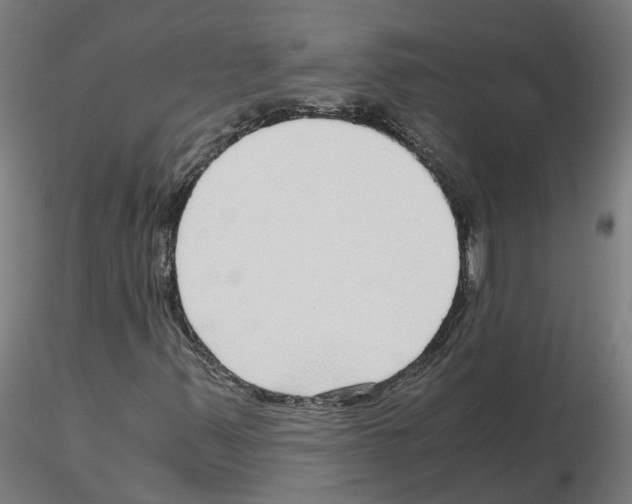 X0000115641347200912221301