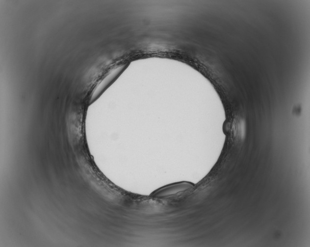 X0000115641348200912221301