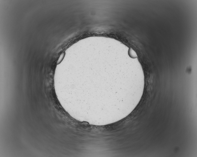X0000115641349200912221301