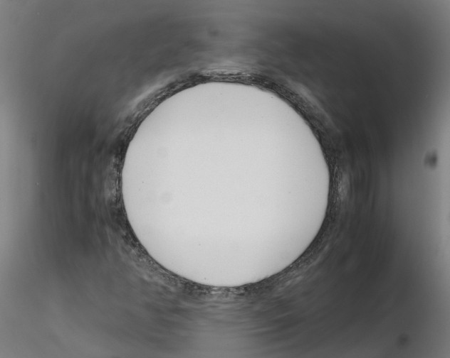 X0000115641350200912221301