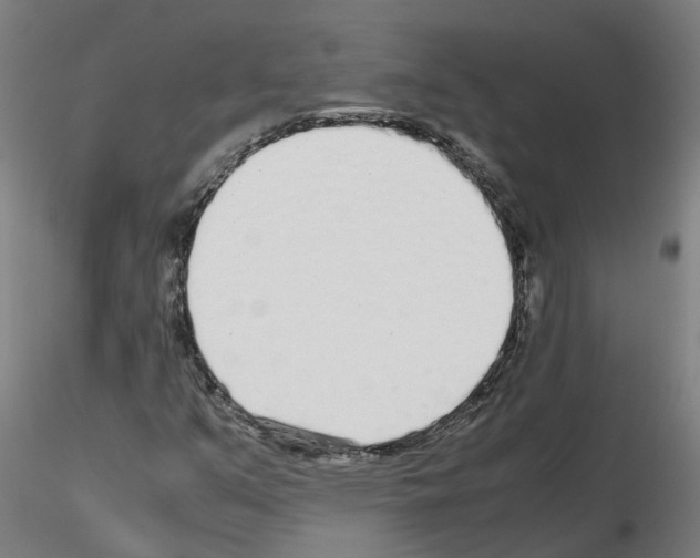 X0000115641351200912221301