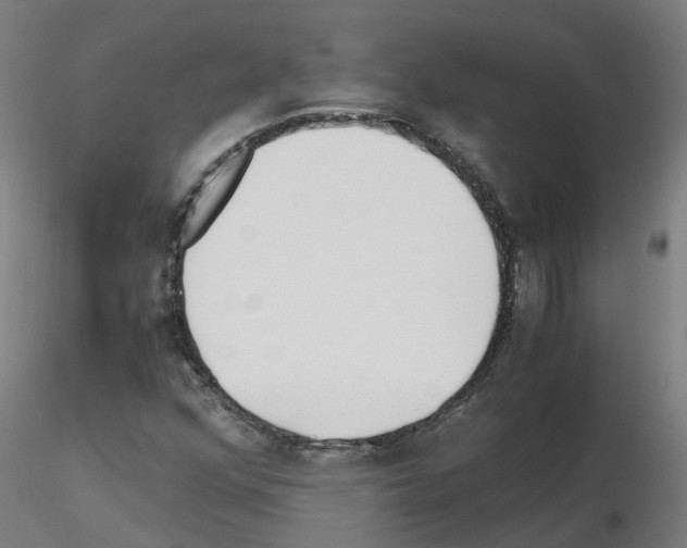 X0000115641352200912221301