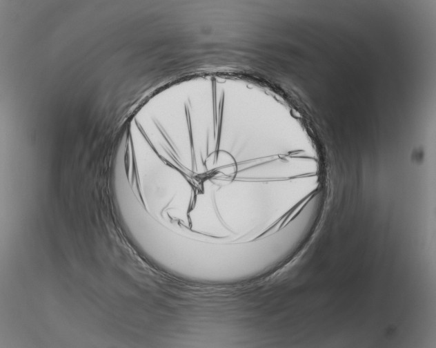 X0000115641353200912221301
