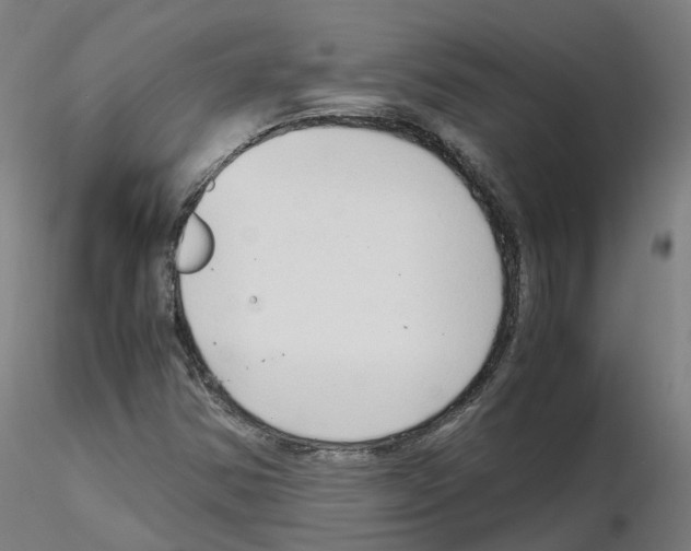 X0000115641354200912221301