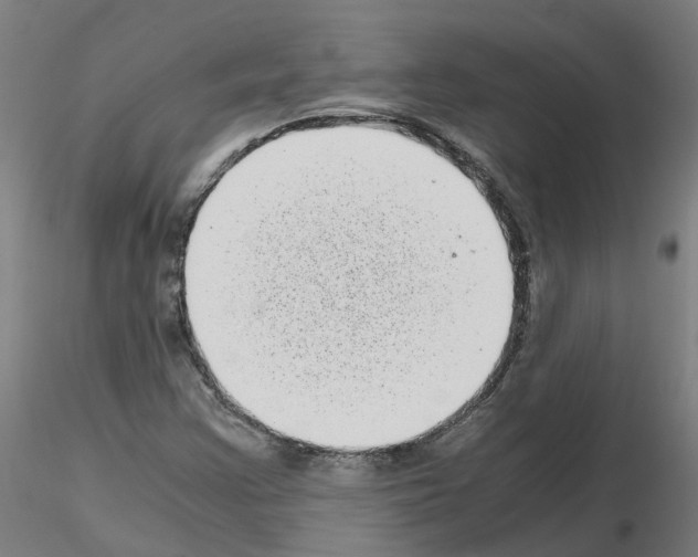 X0000115641355200912221301