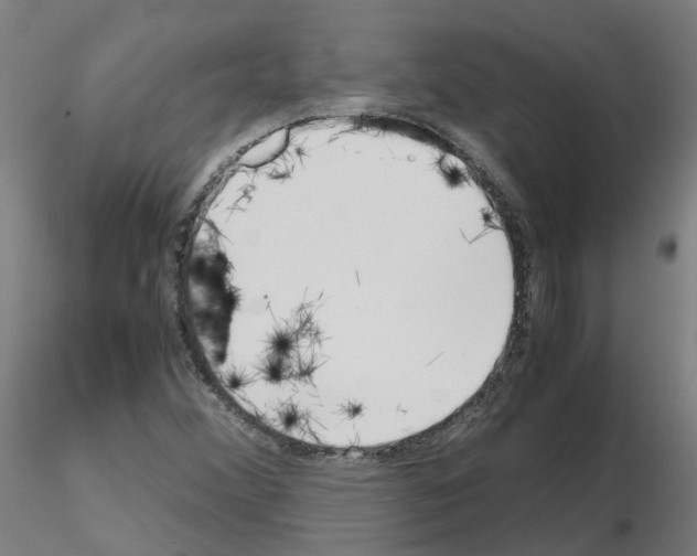 X0000115641356200912221301
