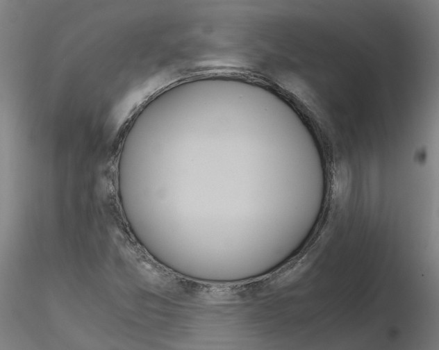 X0000115641357200912221301