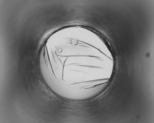 X0000115641358200912221301