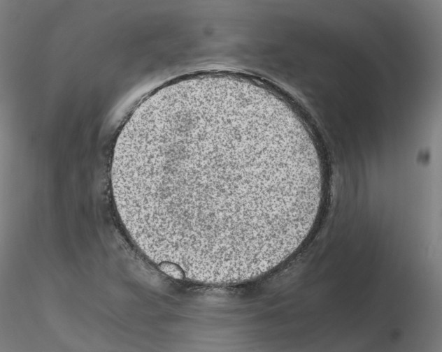 X0000115641359200912221301