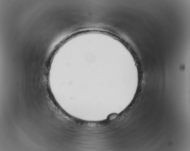 X0000115641360200912221301