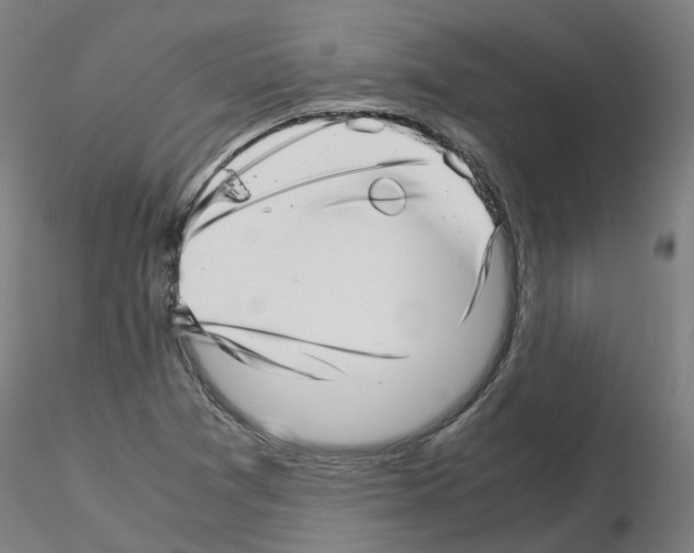 X0000115641361200912221301