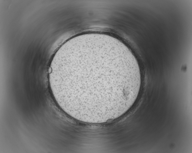 X0000115641362200912221301