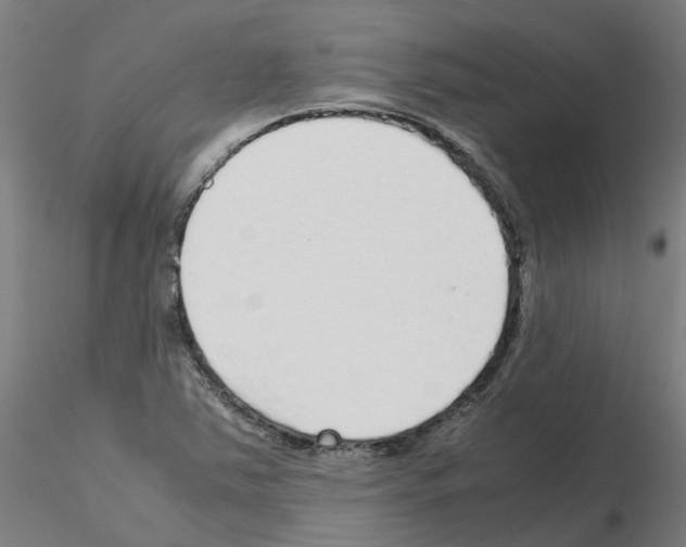 X0000115641363200912221301