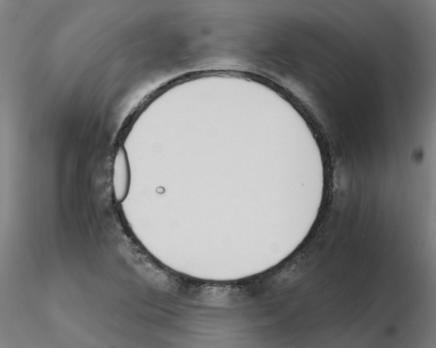 X0000115641364200912221301
