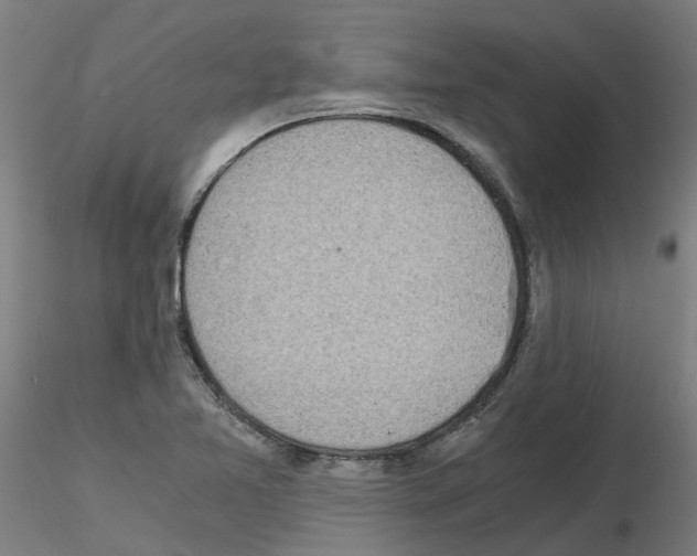 X0000115641365200912221301