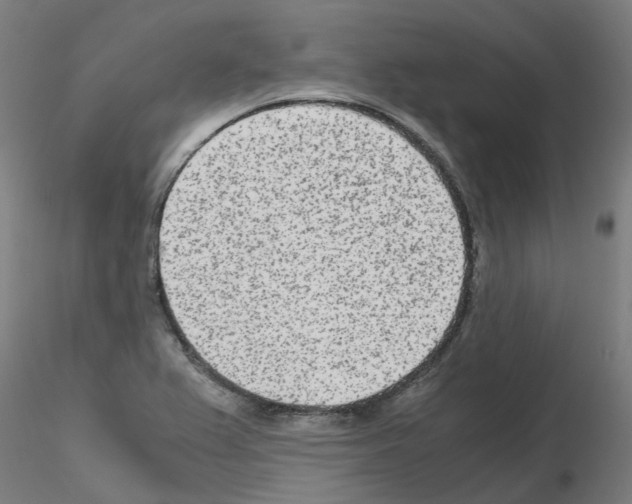 X0000115641367200912221301