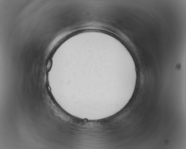 X0000115641368200912221301