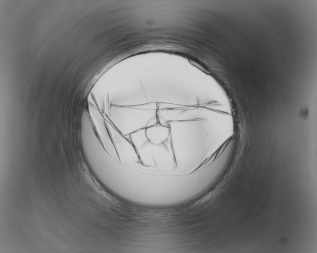 X0000115641369200912221301