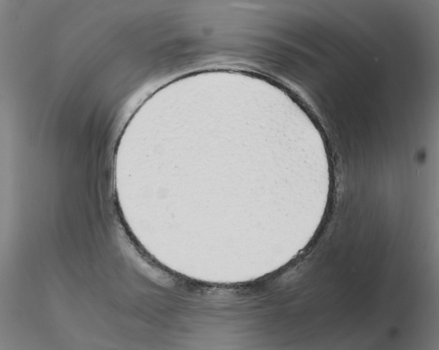 X0000115641371200912221301