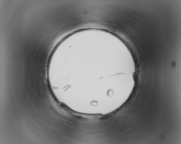 X0000115641372200912221301