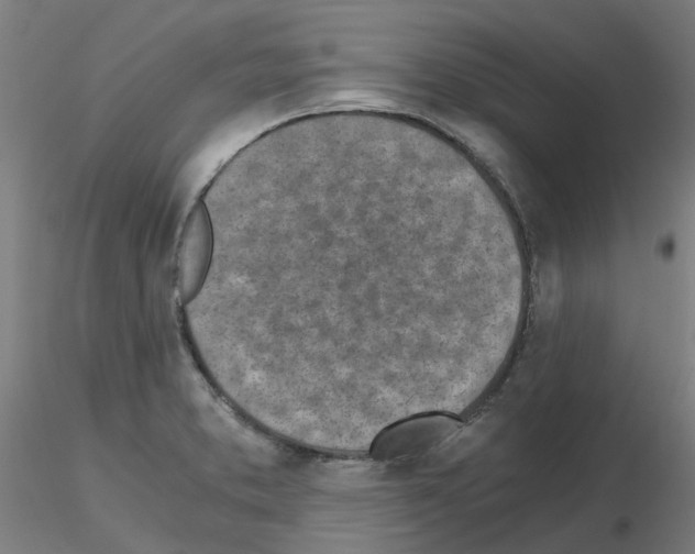 X0000115641373200912221301