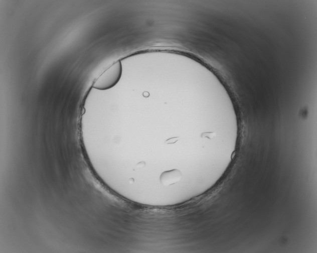 X0000115641374200912221301