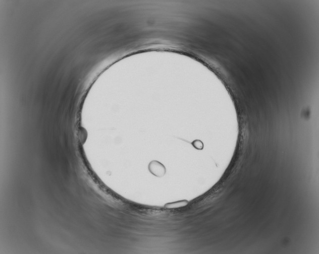 X0000115641375200912221301
