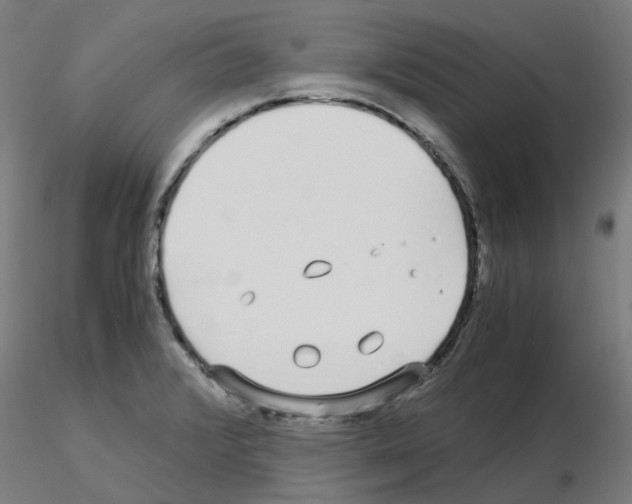 X0000115641376200912221301