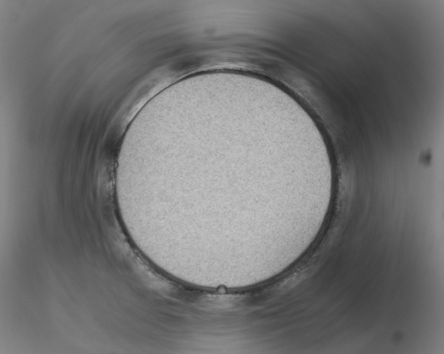 X0000115641377200912221301