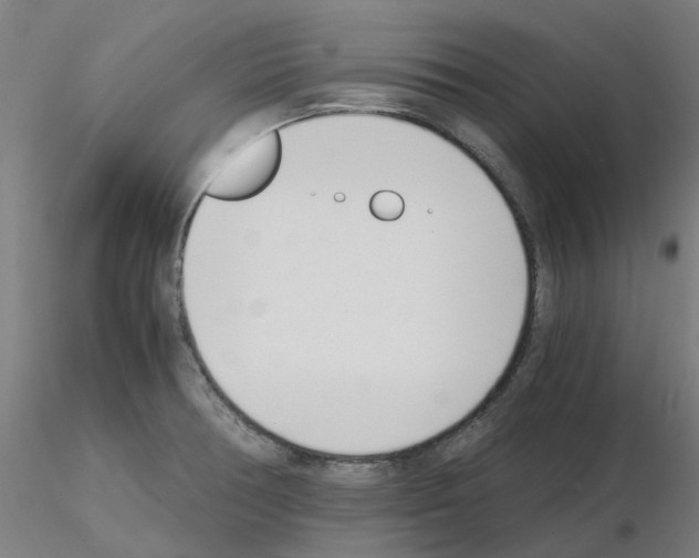 X0000115641378200912221301