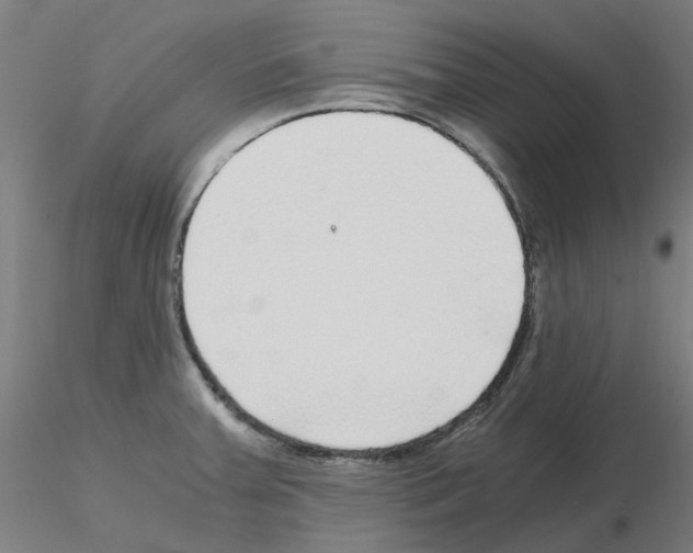 X0000115641379200912221301