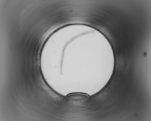 X0000115641380200912221301