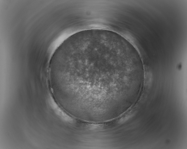 X0000115641381200912221301