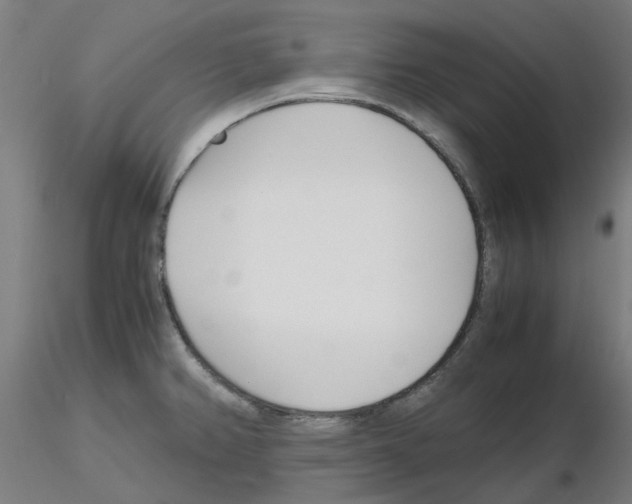 X0000115641382200912221301