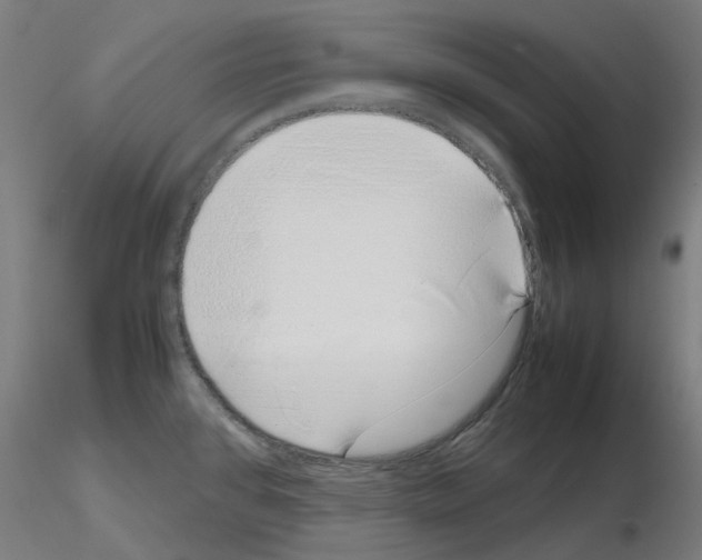 X0000115641384200912221301