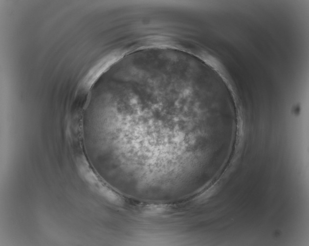 X0000115641385200912221301
