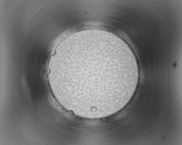 X0000115641386200912221301