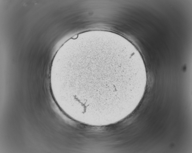 X0000115641387200912221301