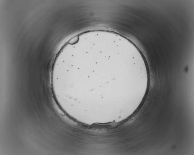 X0000115641388200912221301