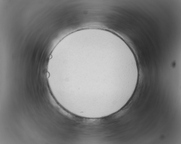 X0000115641390200912221301
